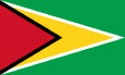 Gvajana National flag
